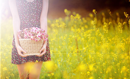 苏民峰:属马人2025年2月运势/农历正月/戊寅月(2.3-3.5)