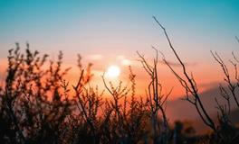 桃花开，2025年易得新缘分的星座