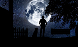 Alex大叔双鱼座2025年3月运势