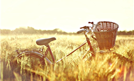 Alex大叔最近的星象分析（2.21-2.27）