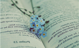 滴天居士生肖羊2025年3月运势