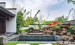 春日盛放：庭院树木种植指南