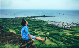 十二生肖的财富秘籍：逆境中逆袭，成就大业！