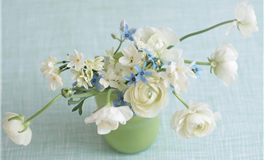 水玲师傅：今日五行能量/五行运势2025年3月7日