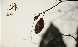 海百合射手座本周运势（3.31-4.6）