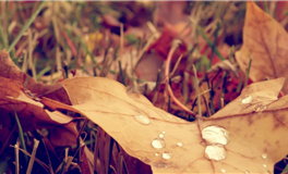 天生不相融！你与哪种人【最不合】？