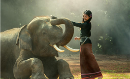 易鑫今日生肖运势2025年3月13日