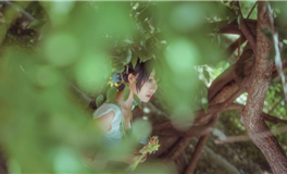 静电鱼双子座一周运势（3.31-4.6）