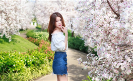 张鑫龙每日通盛+生肖运势 2025年3月17日