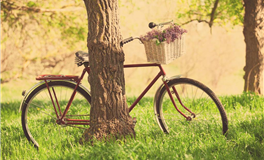 星座情感观：无私的爱与自我关怀