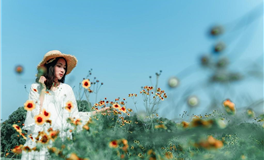 吵架从不服软的星座，绝对不服输！