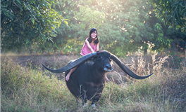 闹闹女巫店处女座2025年4月运势