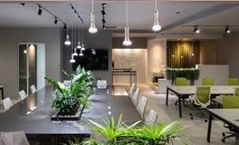 办公室布局揭秘：一个人的职场成功秘诀