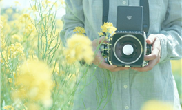 郑博士：每周生肖运势（6.23-6.29）