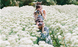 静电鱼天秤座一周运势（6.23-6.29）