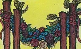 爱莎公主狮子座一周塔罗运势（6.16-6.22）