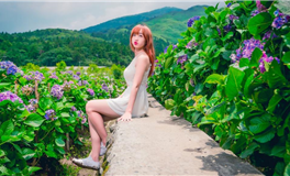 张鑫龙每日通盛+生肖运势 2025年6月5日