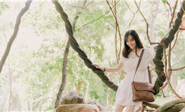 易鑫今日生肖运势2025年6月12日