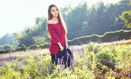 下半年度事业飙升：哪些生肖有望迎来成功高峰？