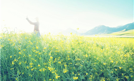 2025年7月至2026年7月：星象转变，人生新篇章