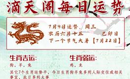 滴天居士2025年7月9日生肖运势