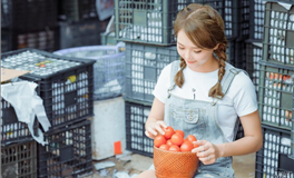 滴天居士2025年7月29日生肖运势