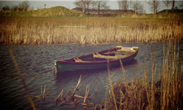 下半年建议多加走动的生肖