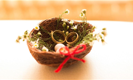 阿妙占星每日星座运势2025年7月27日