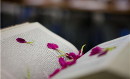 水玲师傅：属鸡人2025年8月运势