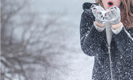 张鑫龙每日通盛+生肖运势 2025年8月11日