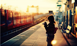 猫咪占星：2025年8月运势和天象解读