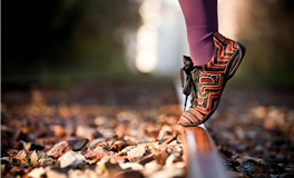 水玲师傅：今日五行能量/五行运势2025年8月12日