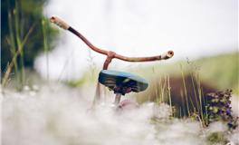 水玲师傅：今日五行能量/五行运势2025年8月11日