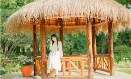 水玲师傅：今日五行能量/五行运势2025年9月3日