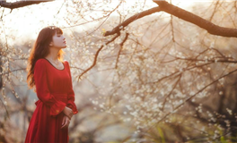 滴天居士2025年9月3日生肖运势