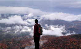 揭秘：为何伴侣频繁出轨的原因