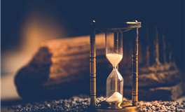 选择轻松与热爱，活得很通透舒心的星座