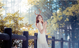 滴天居士2025年9月生肖运势