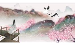 桃花满天飞：是福还是祸？