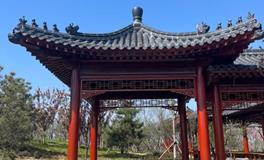 住宅风水中的阳光：你不可忽视的元素