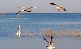 购房者的风水智慧：买房置业不可不知的风水法则