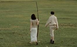 爱如盾牌：哪些生肖为你遮风挡雨？