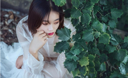 郑博士每日生肖运势2025年10月31日