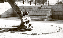 廖予占星：金牛座2025年11月运势