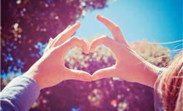 李云天生肖狗2026年运势