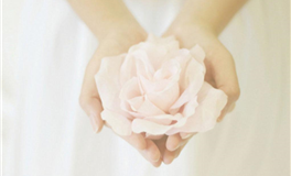 追寻正义之路，灵魂却似已凋零：你是否感同身受？