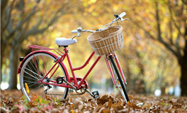 苏民峰:属狗人2025年5月运势/辛巳月运势(5.5-6.4)