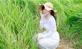 占星小辣椒2025年10月23日十二星座运势