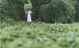 MT曼陀罗华一周星象运势（10.20-10.26）