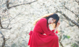 属狗人2026年财运如何